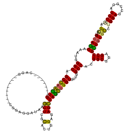 secondary structure