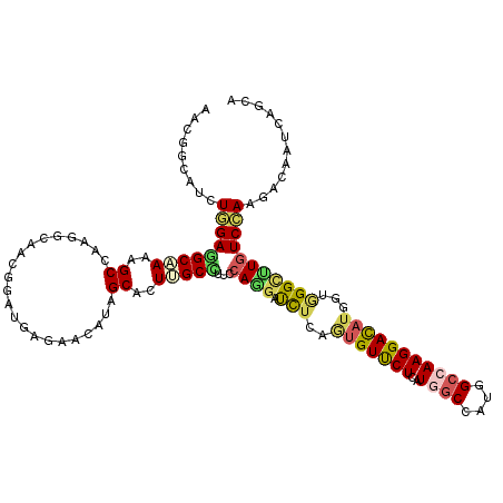 secondary structure