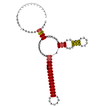 secondary structure