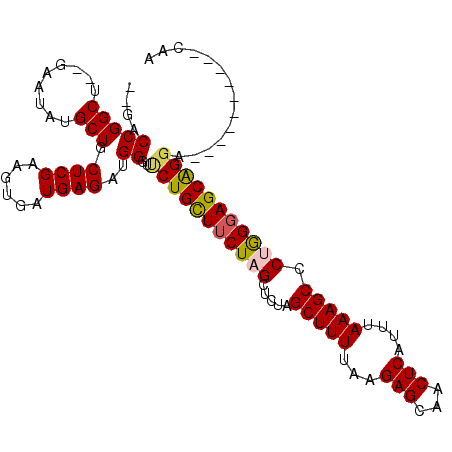 secondary structure