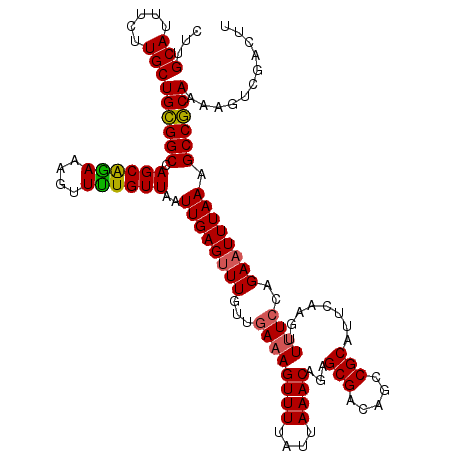 secondary structure