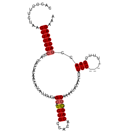 secondary structure