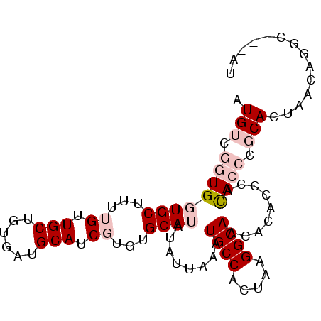 secondary structure