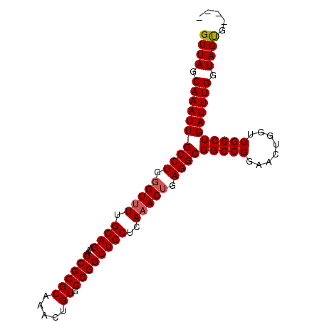 secondary structure