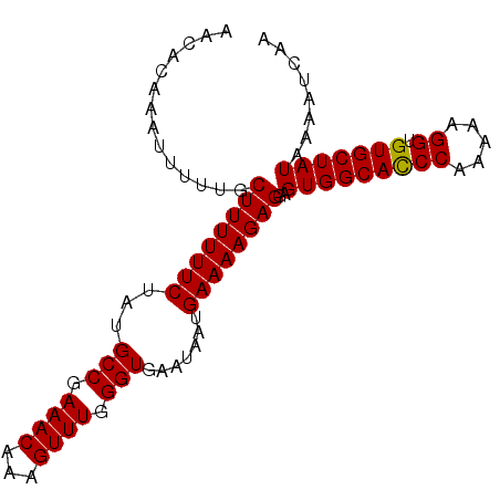 secondary structure