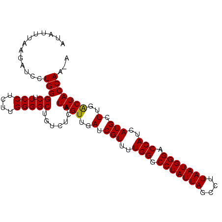 secondary structure