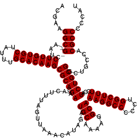 secondary structure
