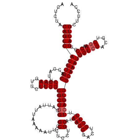 secondary structure