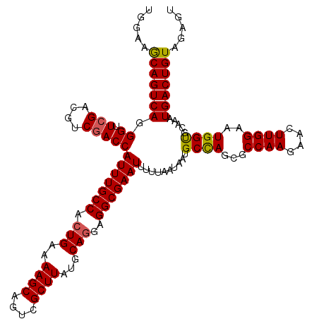 secondary structure
