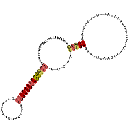 secondary structure
