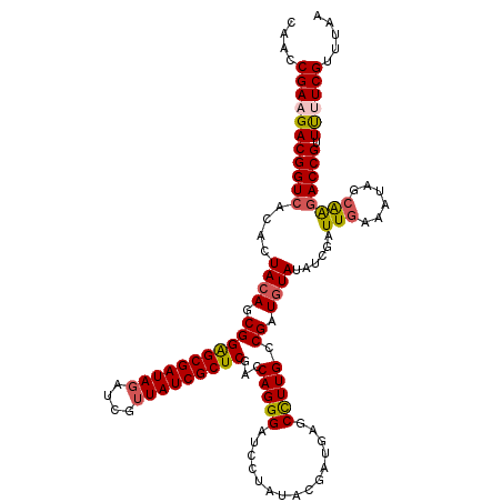 secondary structure