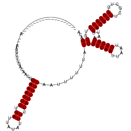 secondary structure
