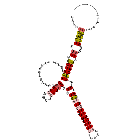 secondary structure