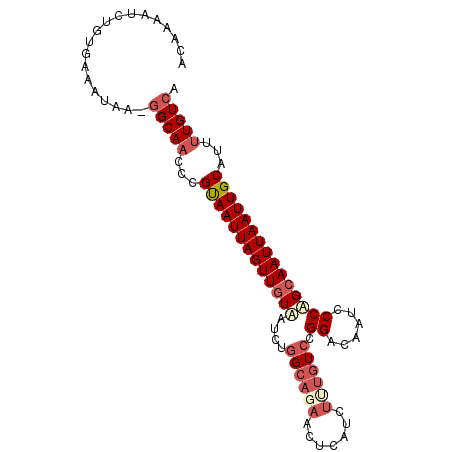 secondary structure