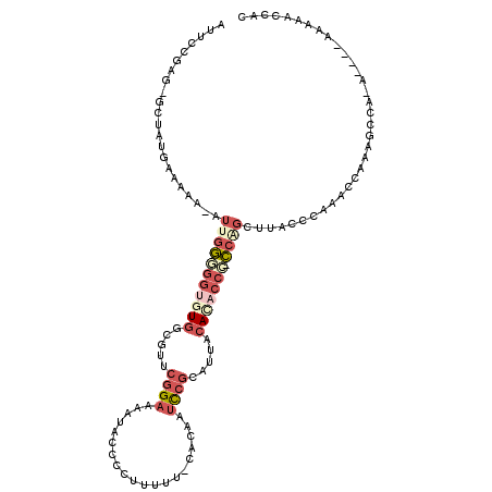 secondary structure