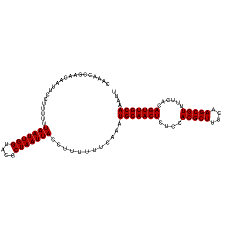 secondary structure
