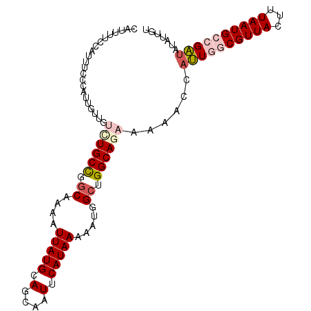 secondary structure