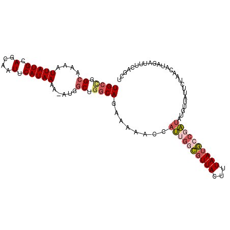 secondary structure