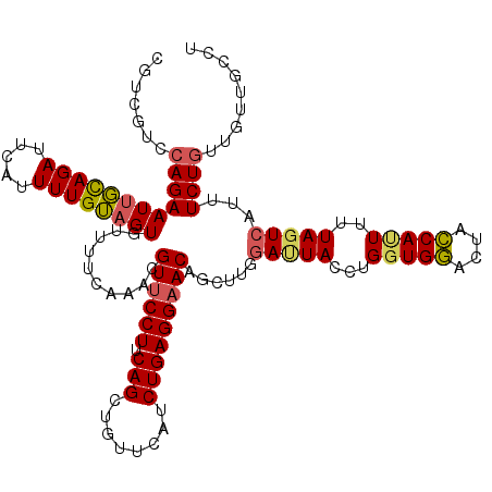 secondary structure