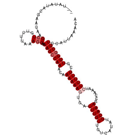 secondary structure