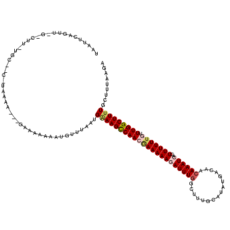 secondary structure