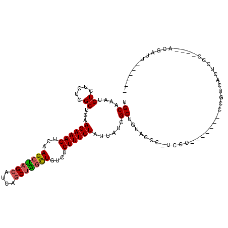 secondary structure