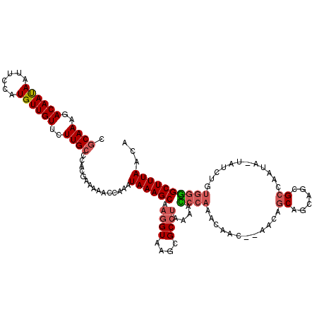 secondary structure