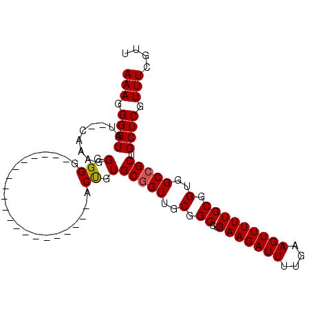 secondary structure
