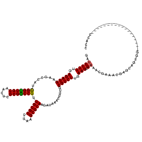 secondary structure