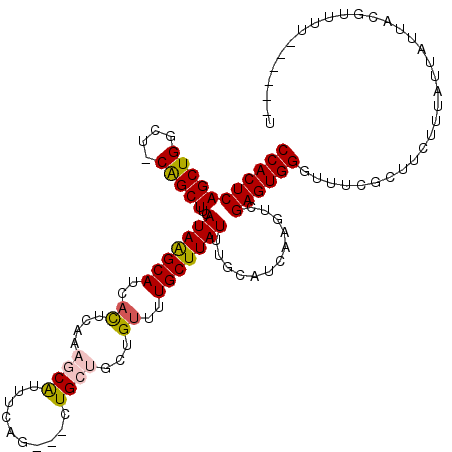 secondary structure