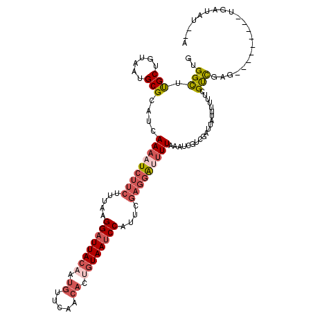 secondary structure