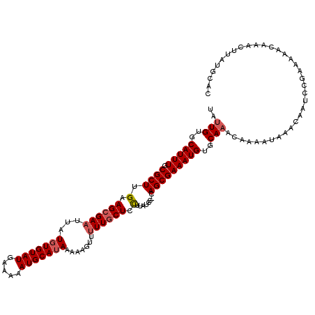 secondary structure