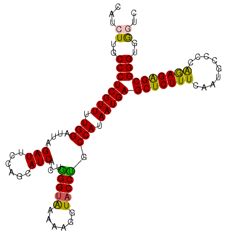 secondary structure