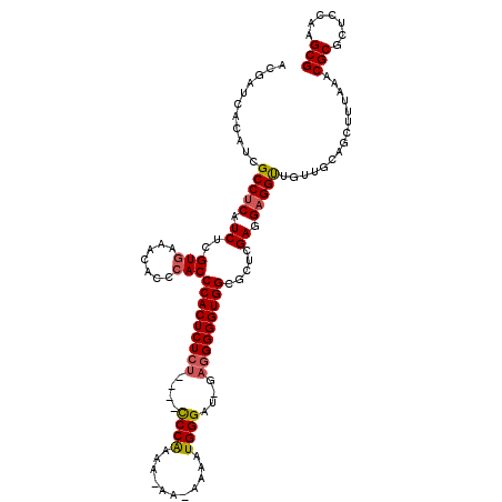 secondary structure