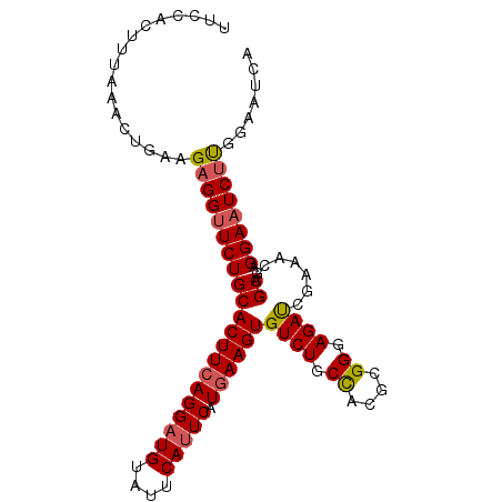 secondary structure