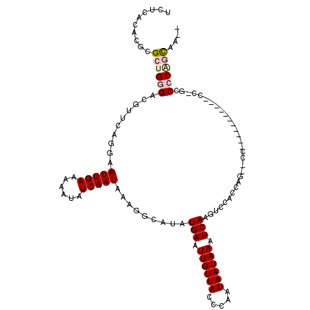 secondary structure