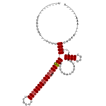 secondary structure
