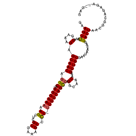secondary structure