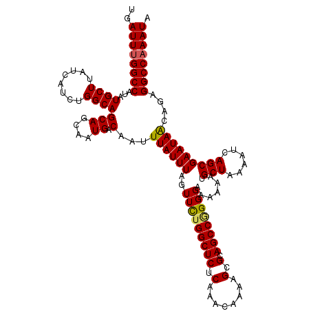 secondary structure