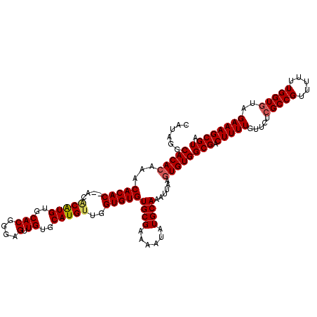 secondary structure