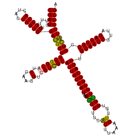 secondary structure