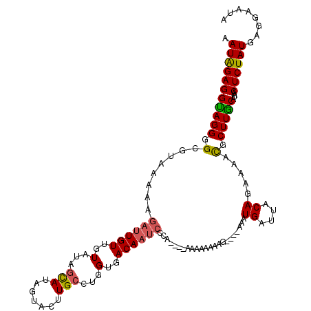 secondary structure