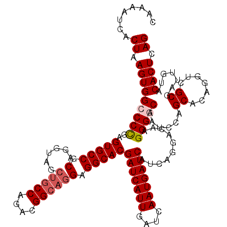 secondary structure