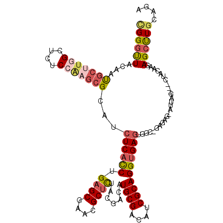 secondary structure
