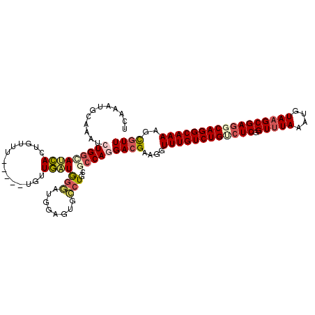 secondary structure