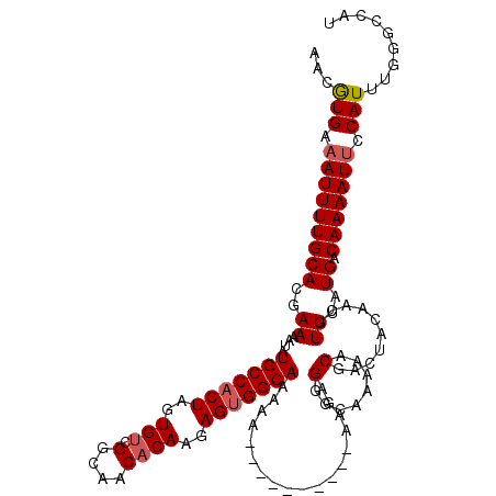 secondary structure