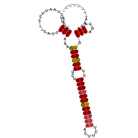 secondary structure