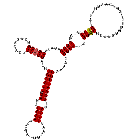 secondary structure