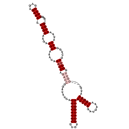 secondary structure