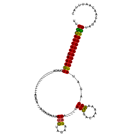 secondary structure